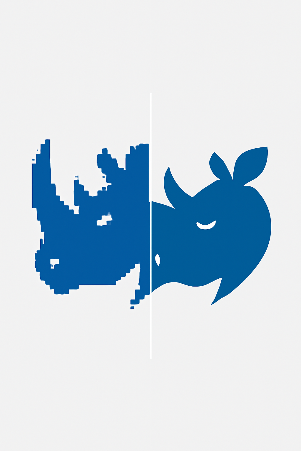 RASTER TO VECTOR CONVERSION